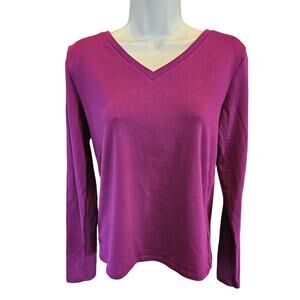 Gap modern t purple v neck supima cotton NWOT long sleeve layering minimalist L